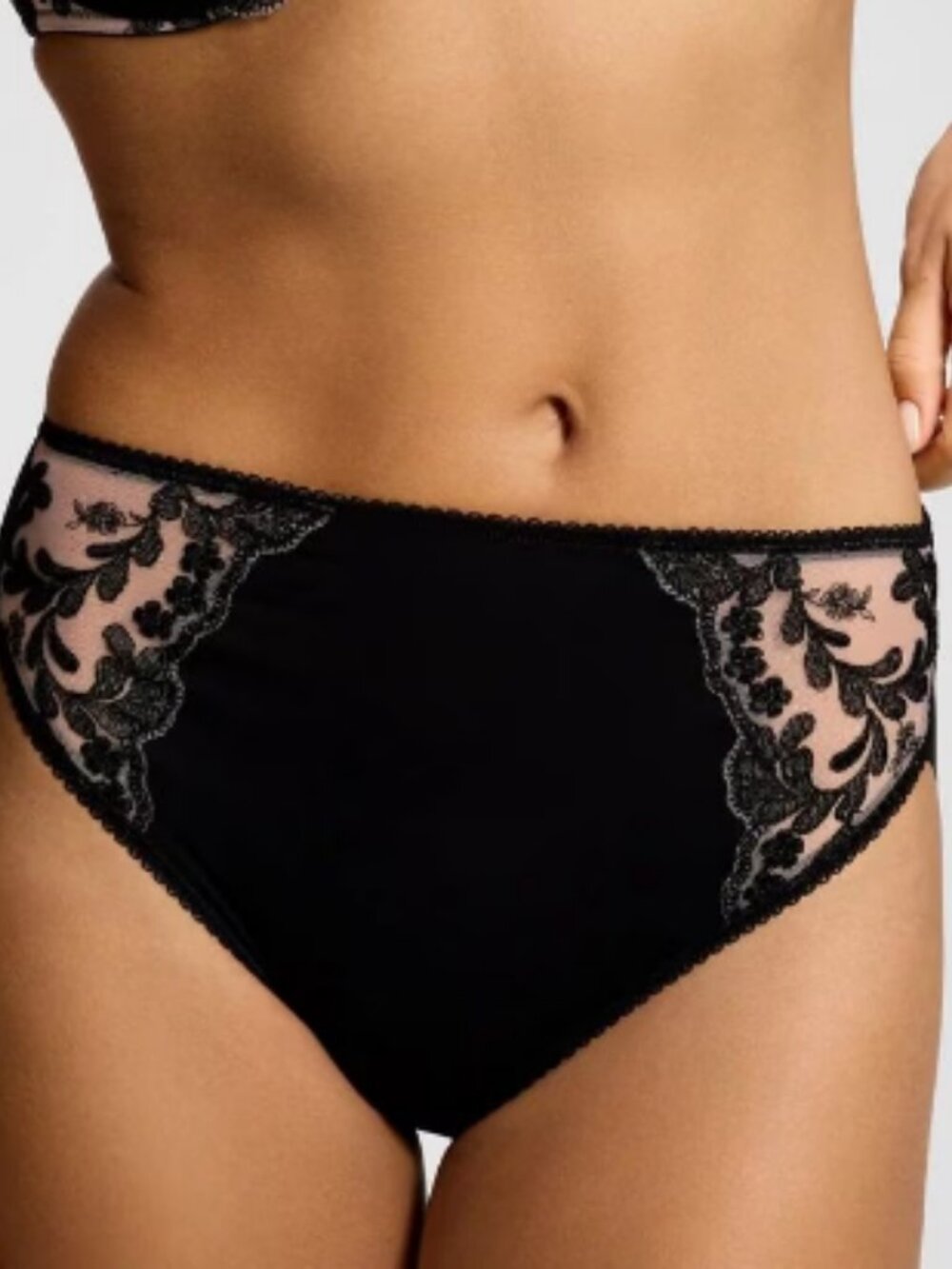 Vanishing Edge High-Leg Panty with Sensuous Embroidery